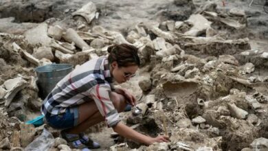 An important find in a cave that changed our understanding of the people of the Stone Age