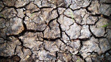 Global drought damage reached 13 2 billion in the first half of the year