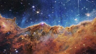 Life is an accident in time and space