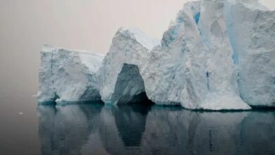 Scientists have plotted the change in temperature in Antarctica over 45 million years 2 Scientists have plotted the change in temperature in Antarctica over 45 million years 1