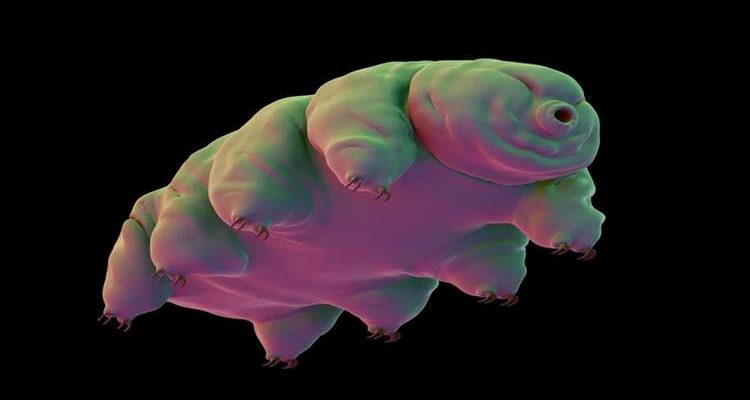 Storjs Tardigrade decentralized storage wants to shake up the cloud