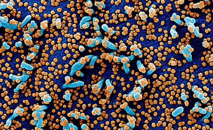 coronavirus survives in air on plastic metal and cardboard