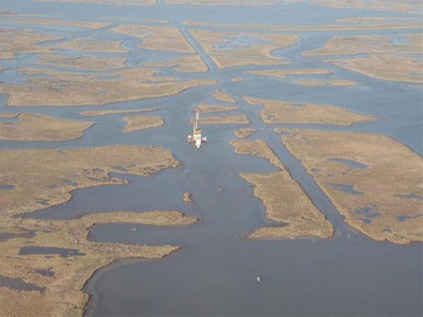 Mississippi delta swamps may soon be under water