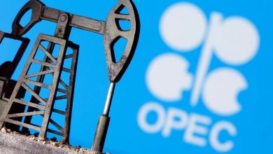 OPEC forecasts a sharp drop in US oil production in