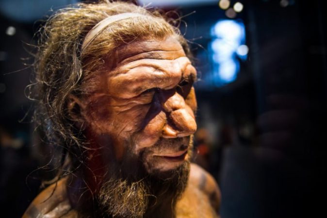 Supercomputer simulation revealed a possible reason for the extinction of Neanderthals