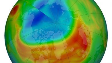The unusually large ozone hole over the Arctic has almost disappeared