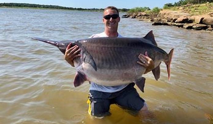 Fisherman caught an incredibly large paddlefish