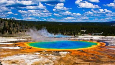 More than ten earthquakes recorded in Yellowstone in just 24 hours