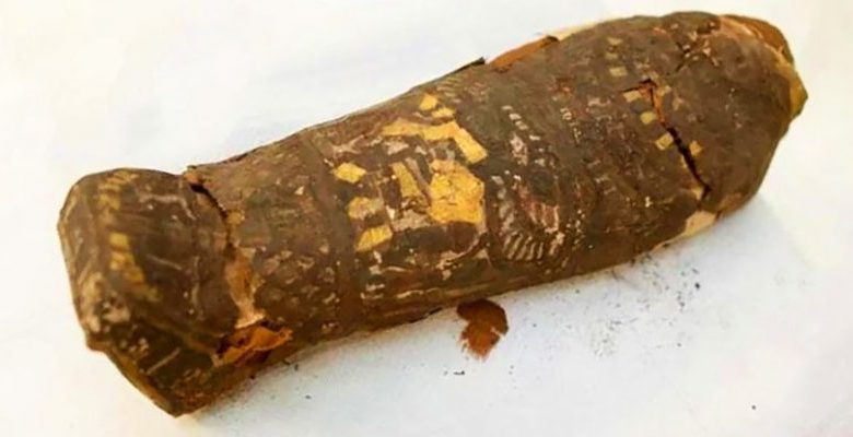 Scientists have uncovered the ancient Egyptian sarcophagus which is more than two thousand years old