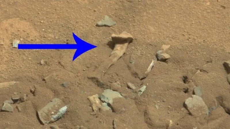 “Human bone” discovered on Mars NASA commented on the find