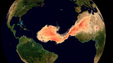 Gigantic Godzilla dust stream flows from Sahara to US