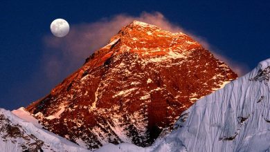 In fact Everest is not the tallest mountain in the world