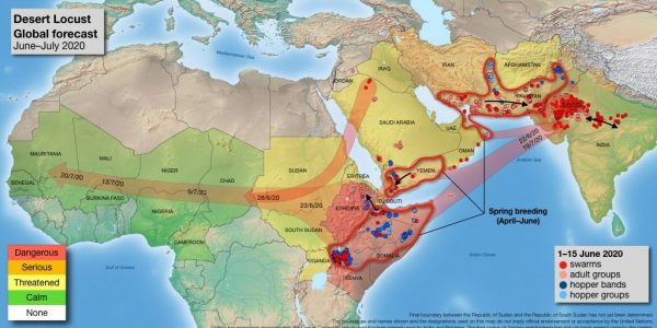 Locust migration in the summer of 2020