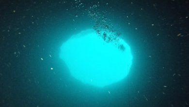 Mysterious Blue Hole Forms Off Florida Coast