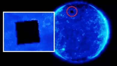 Spacecraft SOHO captures a cubic UFO near the Sun
