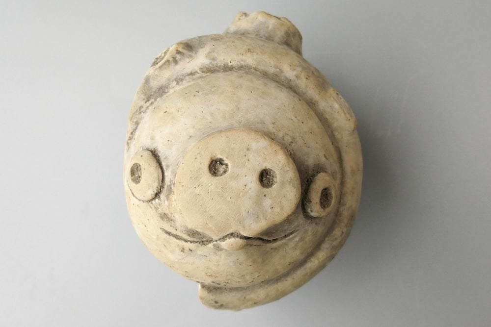 3 000 year old pig figurine unearthed in China
