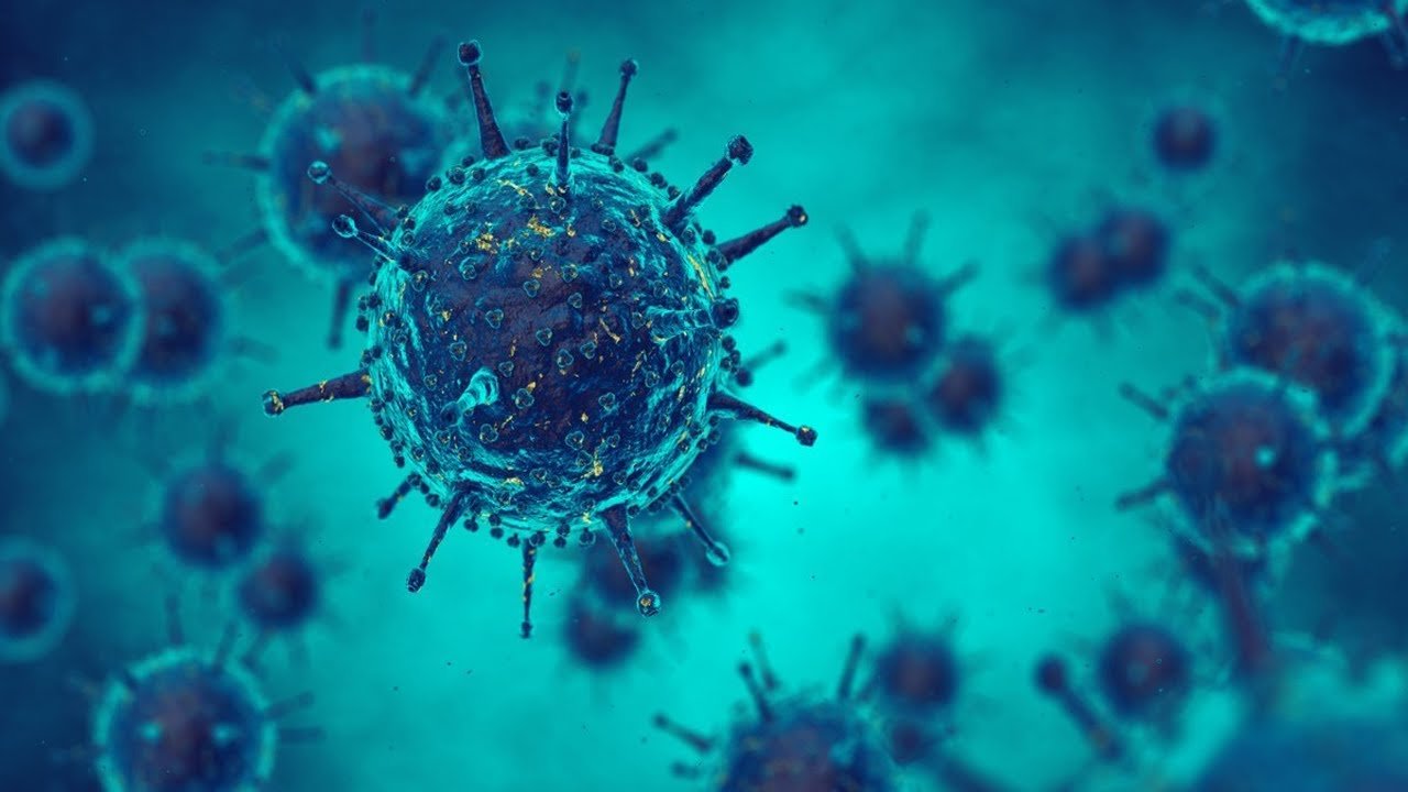 Coronavirus can stay with us forever expert predictions
