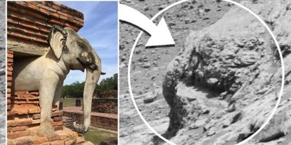 Elephant head found on Martian images 2