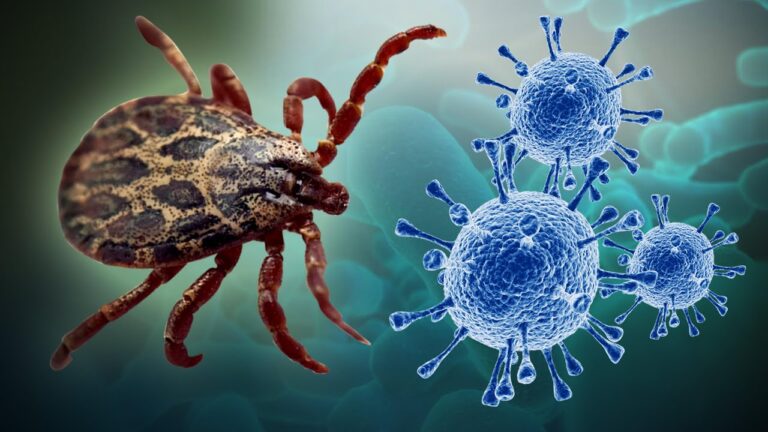 Outbreak of tick borne virus SFTS in China