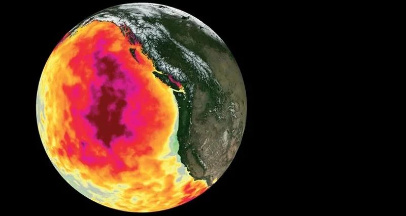 Abnormal hot bubbles massively kill life in the ocean