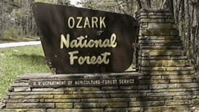 Tourists encounter Bigfoot in Ozark National Park