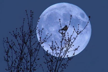 Russians will be able to observe the blue moon