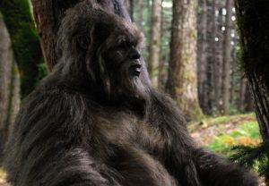Bigfoot is a hybrid of a human and an unknown creature