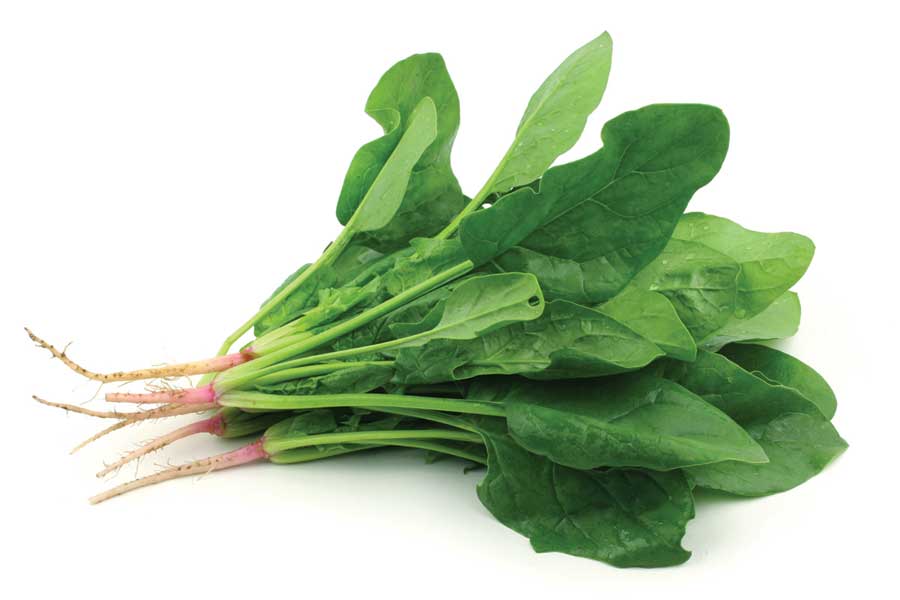 Spinach Greens