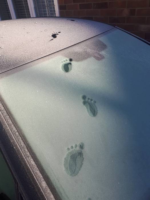 A resident of England found four fingered tracks on her car 2