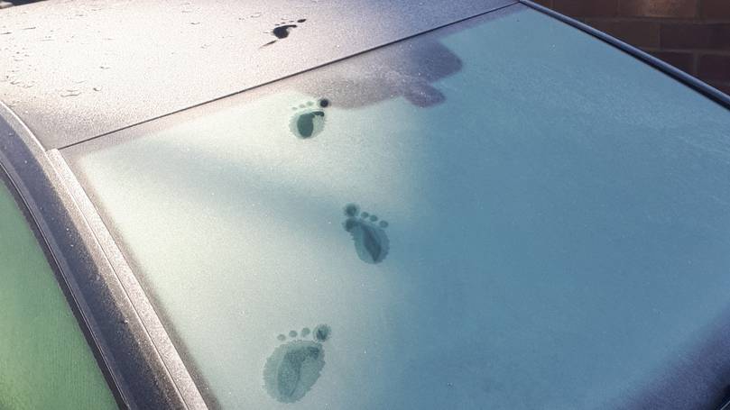 A resident of England found four fingered tracks on her car
