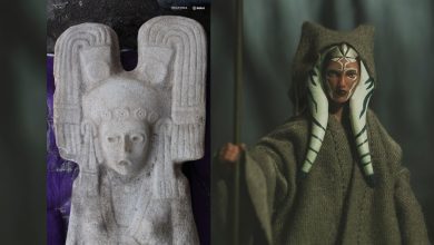 Ancient statue similar to Star Wars character discovered in Mexico