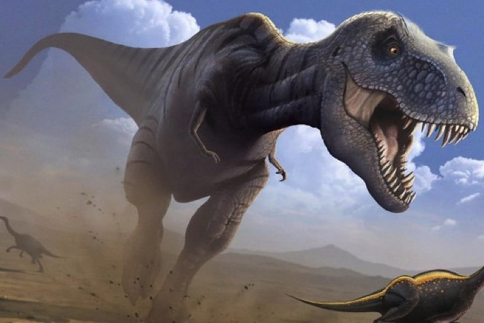 Paleontologists talk about what newborn tyrannosaurs looked like