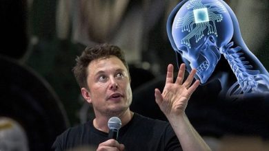 Elon Musks company Neuralink will connect the human brain to a computer