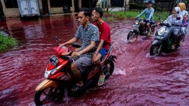 In an Indonesian village bloody rivers run through the streets