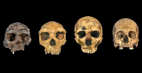 The time and place of origin of Homo sapiens remain unknown despite the efforts of scientists
