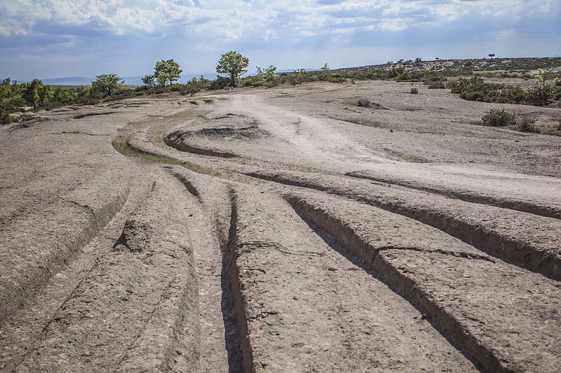 Who left traces of two meter wheels in Turkey 14 million years ago 2