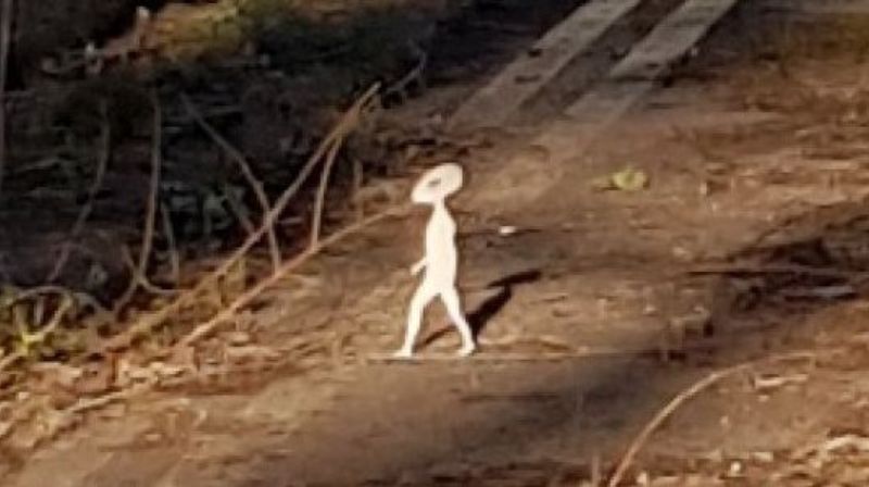 A resident of Great Britain captured a small humanoid on camera