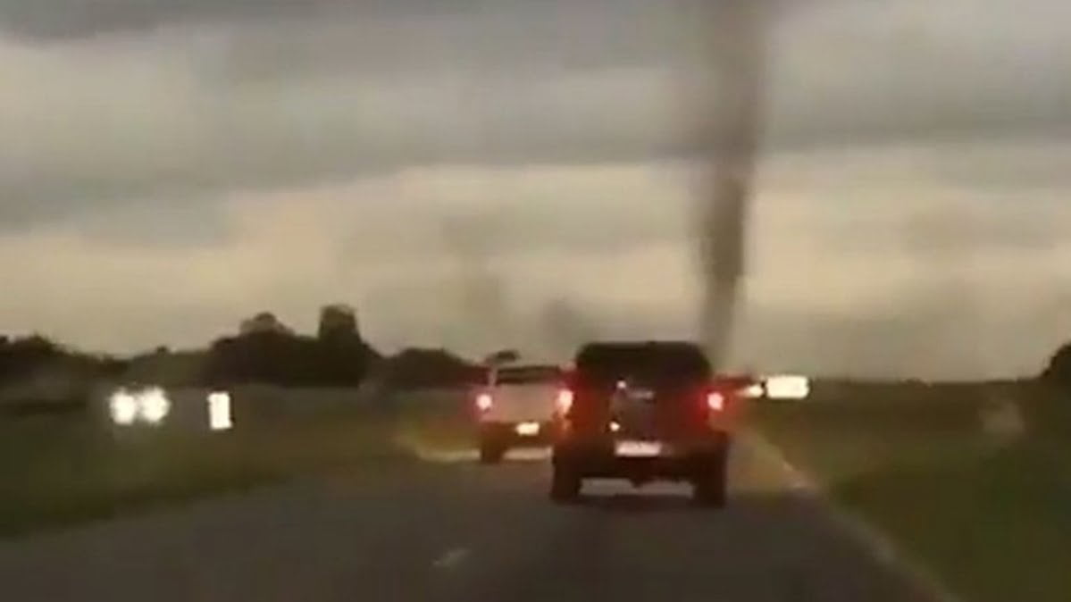 In Argentina a giant swarm of mosquitoes formed a tornado