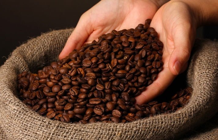 Coffee will disappear due to climate change