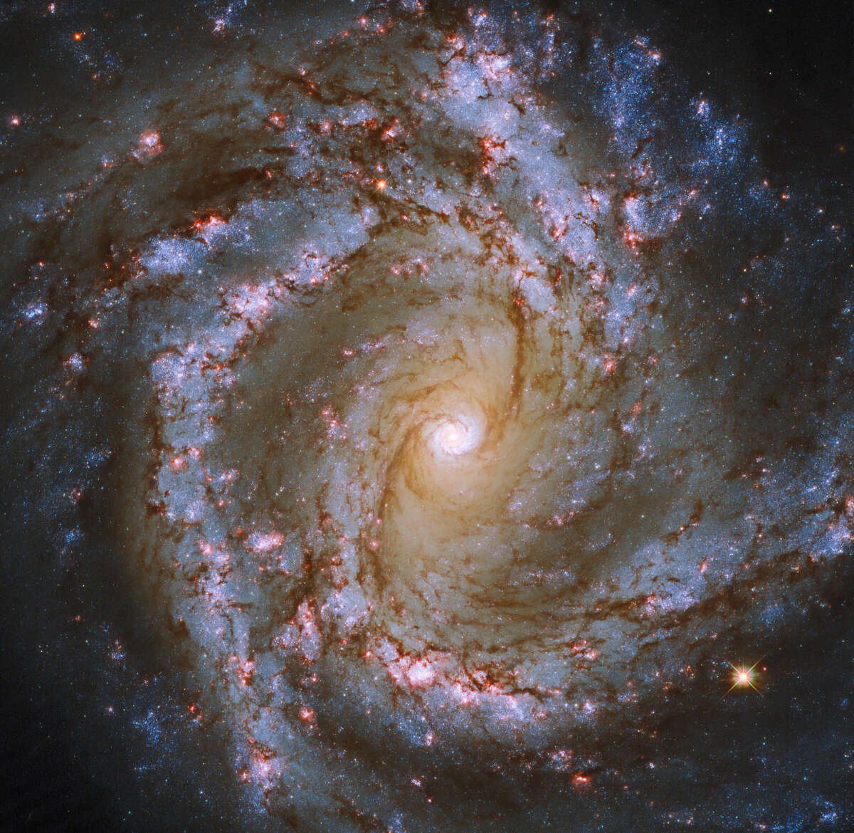 Hubble captures the mesmerizing spiral galaxy M61