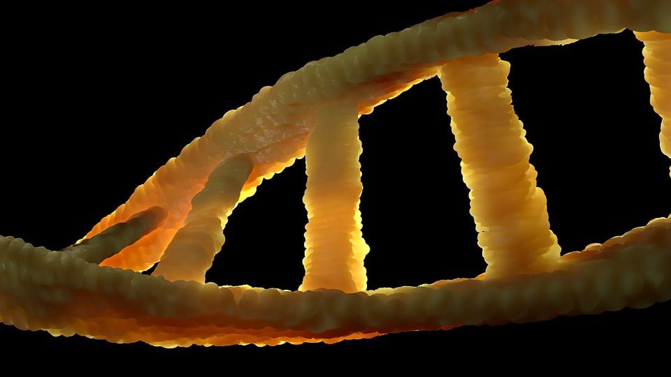 The worlds outstanding geneticist sells his DNA