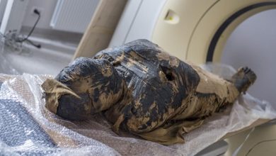 Worlds first Egyptian mummy of a pregnant woman found