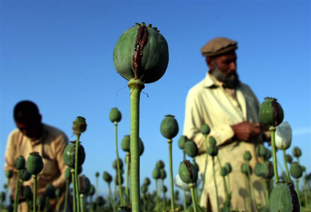 Afghan drugs 1