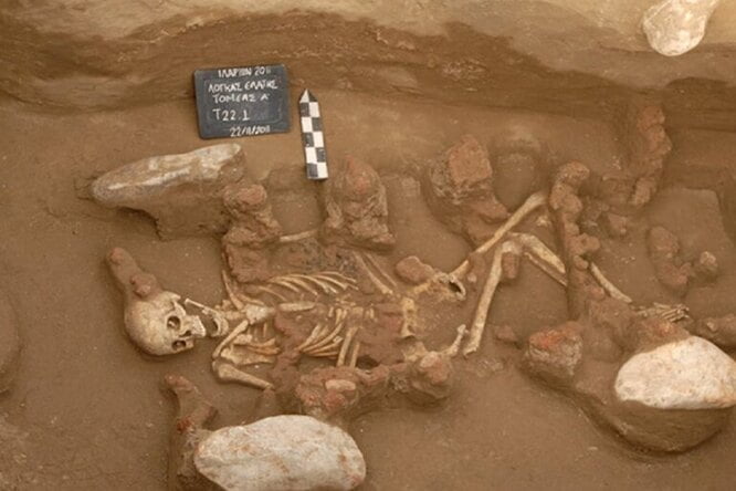 DNA analysis reveals the origin of the first European civilization of the Bronze Age