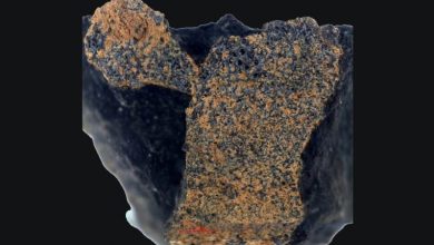 A meteorite found in England that existed before the formation of the planets
