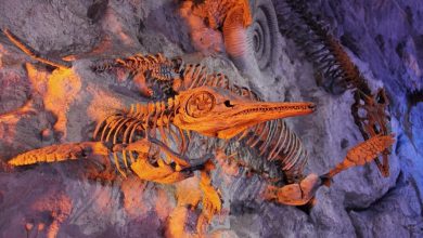 Jurassic Pompeii discovered in Britain