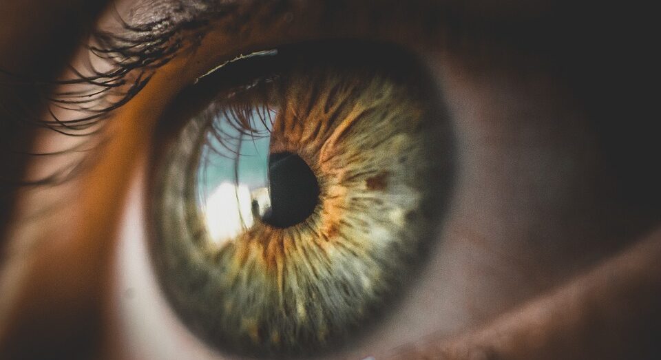 Ophthalmologist told why people blink