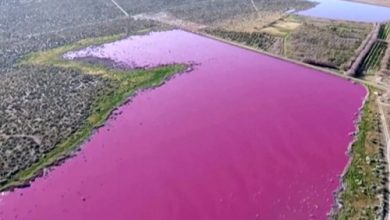 Argentinas lakes turn pink but prospects are not bright