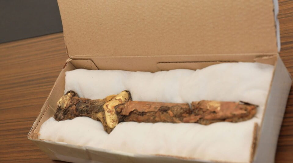 In Kazakhstan archaeologists have discovered a gilded sword of the Sarmatians