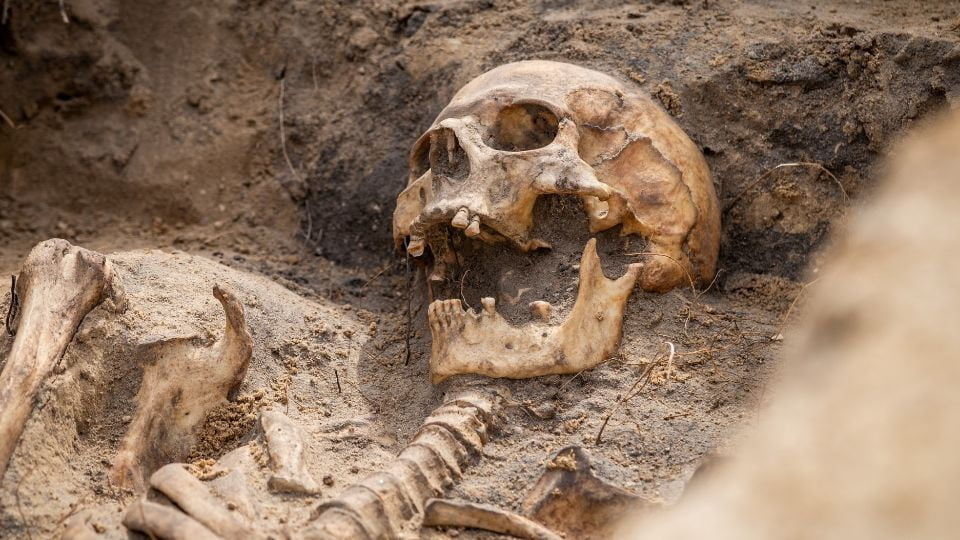 Polish builders accidentally discovered a plague burial